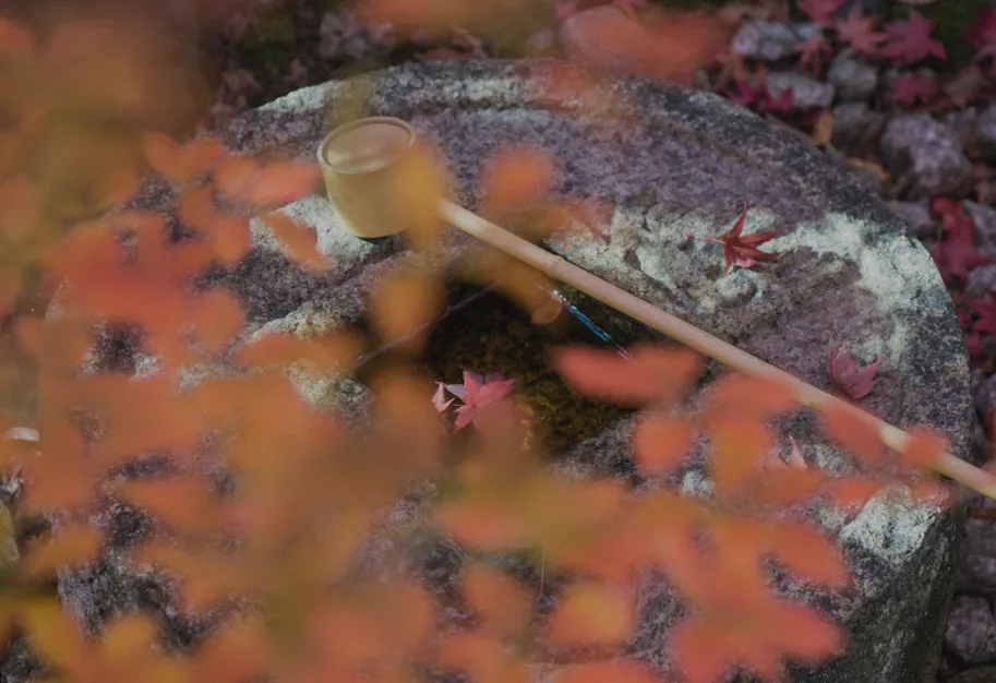 写真：赤く色づいた紅葉に囲まれた手水鉢