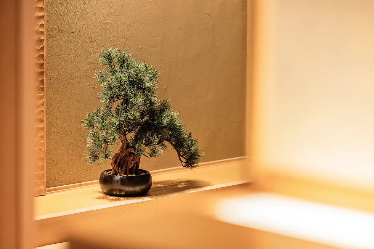 Penthouse Suite with River and Mountain View 常盤（ときわ）